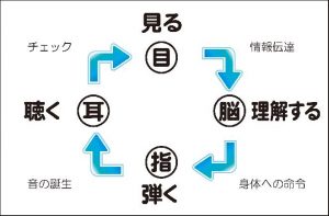 ピアノを弾く連続動